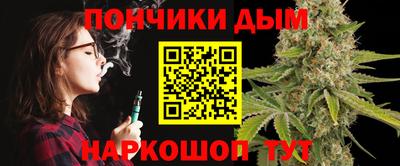 МДПВ Кингисепп
