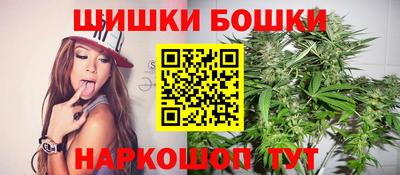 МДПВ Кингисепп