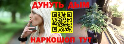 МДПВ Кингисепп