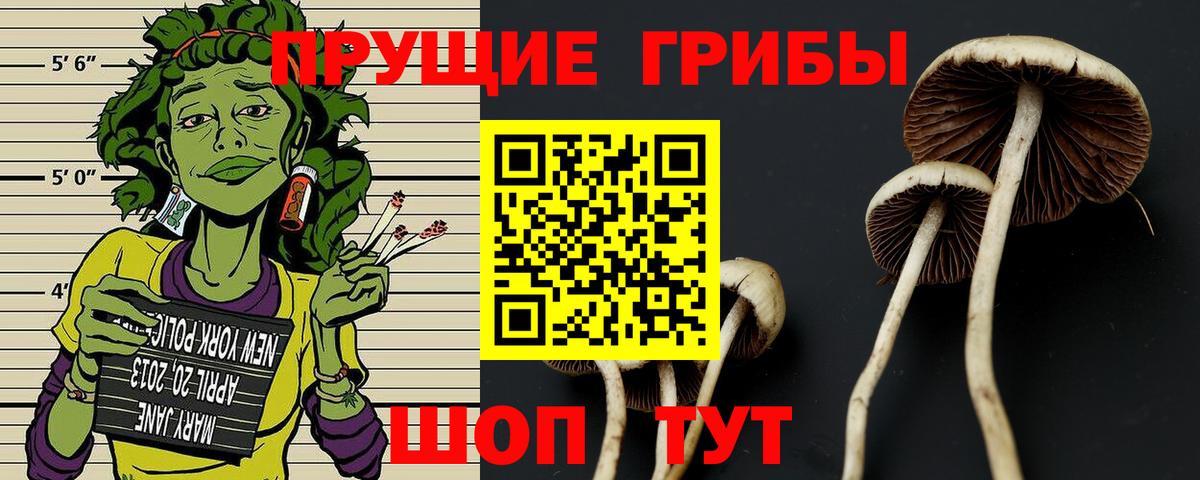 Псилоцибиновые грибы мухоморы Камышин